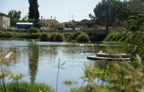 Conversano, gli irrisolti e terribili delitti della masseria e del laghetto